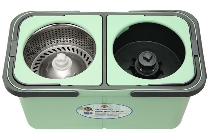 ficus decora cabernet