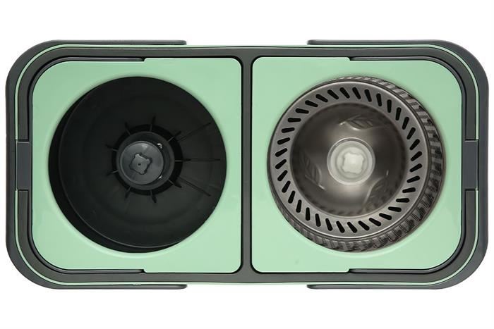 ficus decora cabernet