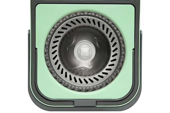 ficus decora cabernet