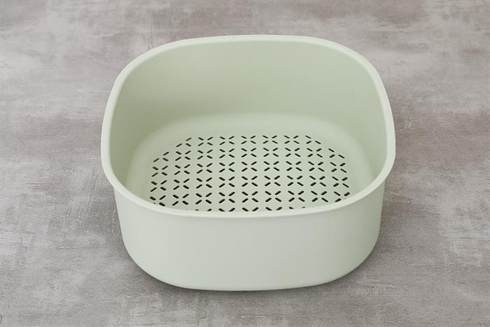 sansevieria laurentii