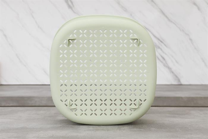 sansevieria laurentii